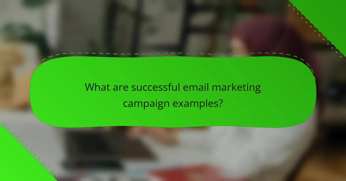 What are successful email marketing campaign examples?